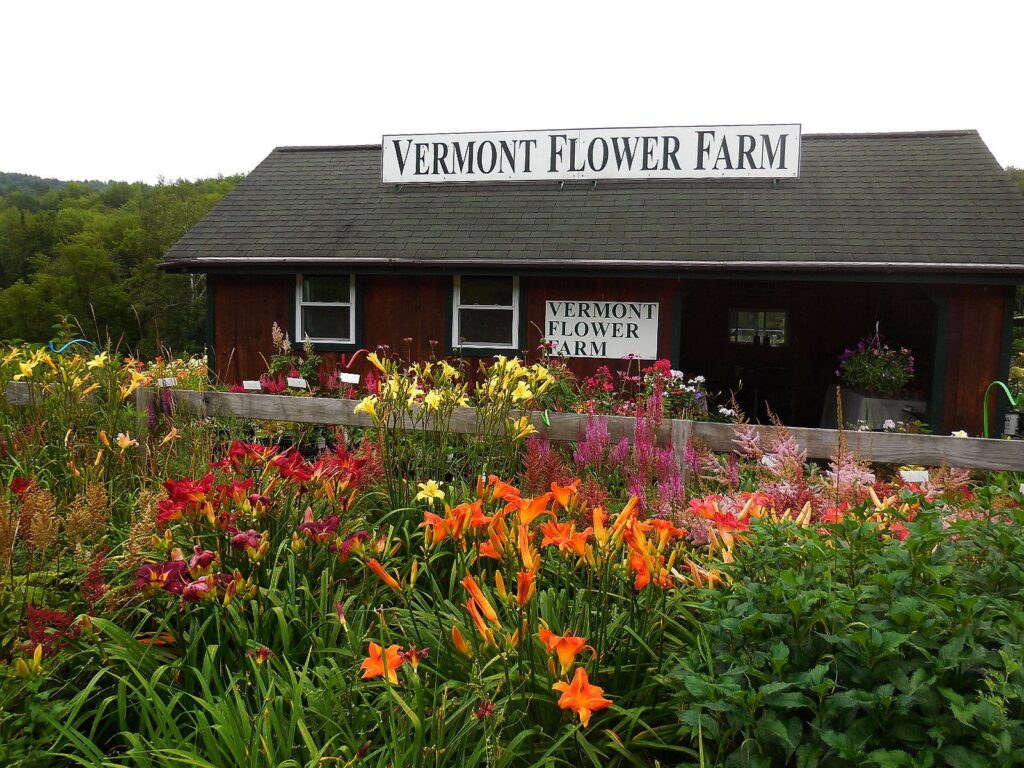 Visit Us Vermont Flower Farm